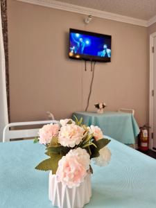 تلفاز و/أو أجهزة ترفيهية في Motel Le Radisson de Val-David