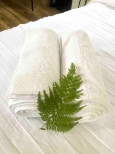 a green plant on a bed with two towels at Earthly Retreat - Private Noosa Hinterland Getaway in Doonan