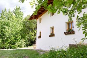 A garden outside Chalet Hafling Leckplått