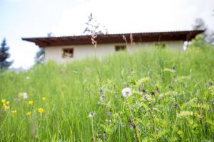 A garden outside Chalet Hafling Leckplått