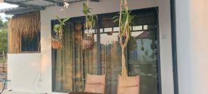 Phumĭ Chroŭy SvayZen Space Nesat的挂在窗户上的盆栽植物