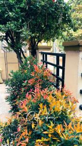 un arbusto de flores delante de una valla en Vizagstayinn, en Visakhapatnam