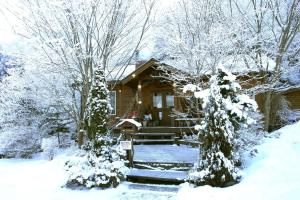 a cabin in the snow with snow covered trees at クースクース in Fujikawaguchiko