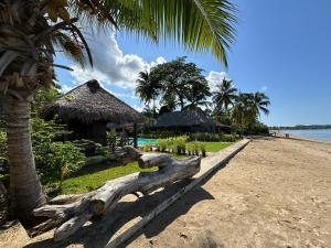 a beach with a tree trunk and a resort at La Parenthèse in Nosy Be
