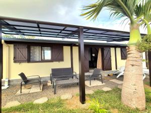un patio con pérgola, banco y palmera en Maison Hibiscus, en Saint-Joseph