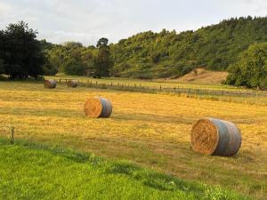 Paisagem natural perto of the country house
