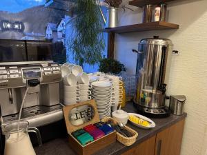 Kuchnia lub aneks kuchenny w obiekcie Hotel Beskidian
