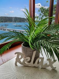 a plant in a pot sitting on a window sill at Waterfront Scotland Island Holiday Home - Family & Pet Friendly - 3 Bedrooms - Wifi - Netflix - Private Jetty in Scotland Island