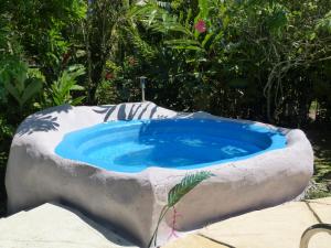 a blue and white surfboard sitting on top of a pool at Hotel El Colibri Rojo - Cabinas - Le Colibri Rouge in Cahuita