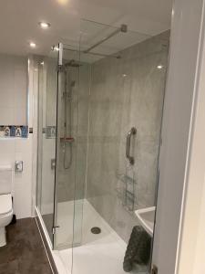 a shower with a glass door in a bathroom at Mossie Apartment in Ayr +35 photos