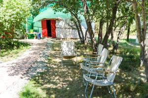 Zahrada ubytování Arista Yurt Camp
