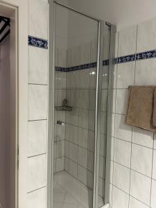 a shower with a glass door in a bathroom at Villa Heimkehr Apartment 6 in Göhren