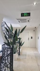 Vstupní hala nebo recepce v ubytování Hotel Luciano