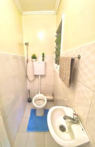 a small bathroom with a toilet and a sink at Beautiful, affordable 1bdrm in Milimani in Kisumu +16 photos