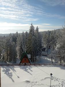 Apartman Pahuljica Tara v zimě