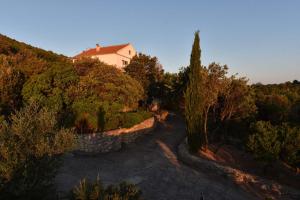 a house sitting on top of a hill with trees at Apartmani Marko in Gdinj