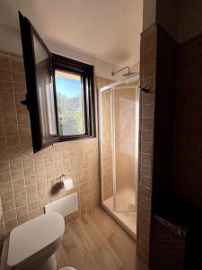 哥斯达雷Villetta Solemari - 100m from the beach的带淋浴和卫生间的浴室以及窗户。