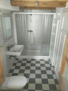 a bathroom with a shower and a toilet and a sink at Apartment Bernarda - Entire House in Kobarid +19 photos