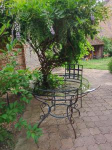 Zahrada ubytování Gîte en Sologne