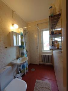 a small bathroom with a toilet and a sink at Villa i Näsland in Näsland