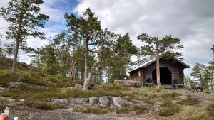 a log cabin in the middle of a forest at Villa i Näsland in Näsland