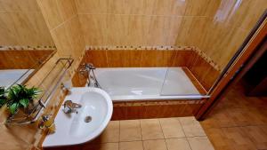 Koupelna v ubytování Apartmán P+Z