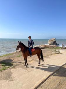 Jízda na koni v apartmánu nebo okolí