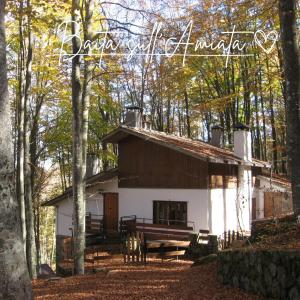 a cabin in the woods with a bench in front of it at Baita Amiata in Monte Amiata