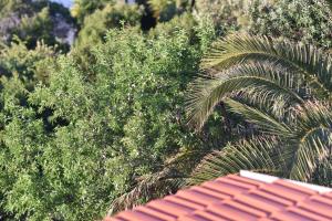 a group of trees with a red roof and a palm tree at Apartmani Marko in Gdinj