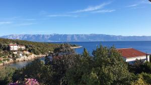 a view of a river with mountains in the background at Apartmani Marko in Gdinj
