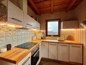 Kuchyň nebo kuchyňský kout v ubytování Druhanov Cottage