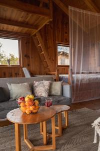 Posezení v ubytování Druhanov Cottage