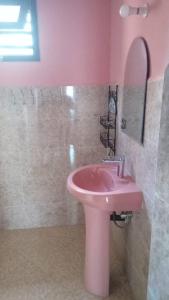 ManakambahinyにあるAppartement Fitahiana coupleのピンクのバスルーム(ピンクのシンク、シャワー付)