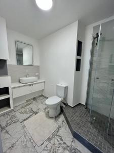 a bathroom with a toilet and a sink and a shower at Vivist apartments in Druskininkai