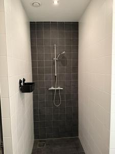 a bathroom with a shower with a shower head at Gateway to Amsterdam in Almere +31 photos