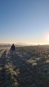 Gallery image of Lo.f.t ô village in Monflanquin