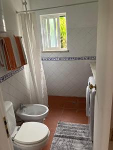 a white bathroom with a toilet and a window at Cozy Country House near Beaches in Azoia