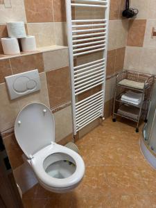 Kúpeľňa v ubytovaní Apartmán u Hovorků