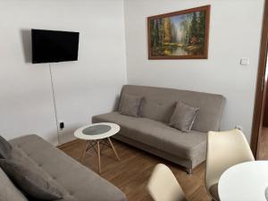 Posezení v ubytování Apartmán u Hovorků