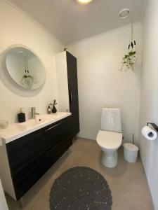 a bathroom with a toilet and a sink and a mirror at Villa beach star in Ranua