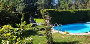 a swimming pool in a yard with a chair next to a hedge at Ferienhaus RENA mit Pool in Bischdorf