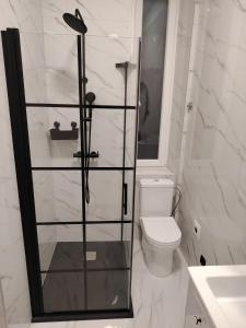 Un baño con inodoro y ducha de cristal. en Studio apartment Andre, en Rijeka 3 fotos más