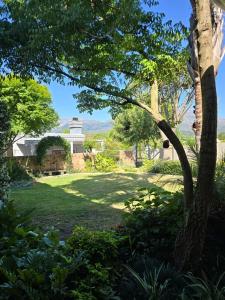 a yard with a tree and a house at Cozy en-suite room in Wellington with own entrance in Wellington