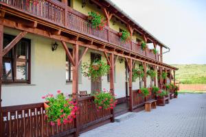 Billede fra billedgalleriet på Vendégváró Panzió i Lupeni