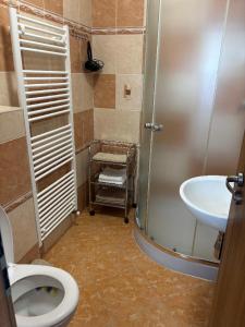 Kúpeľňa v ubytovaní Apartmán u Hovorků