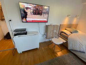 TV a/nebo společenská místnost v ubytování Practical Self-Check-in Studio