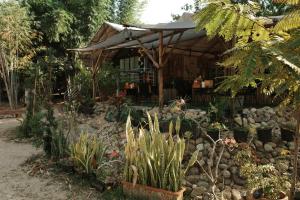 ein Haus mit vielen Pflanzen im Garten in der Unterkunft Baanraisongshul K&E Gardens in Khlong Lan