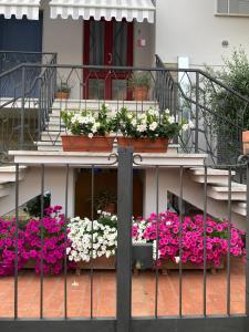 Rõdu või terrass majutusasutuses Lucignolo
