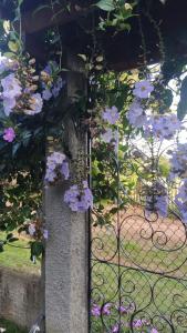 Photo de la galerie de l'établissement Casa de Campo na Serra, à Ibiapina