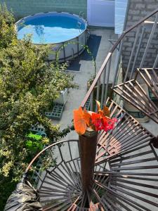 塞凡Vage Gest House的花瓶,在游泳池旁的栏杆上